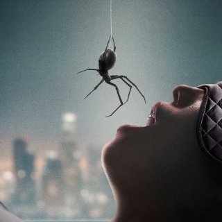 Crawlers (2026)