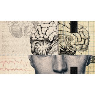 Crazy, Not Insane Picture 3
