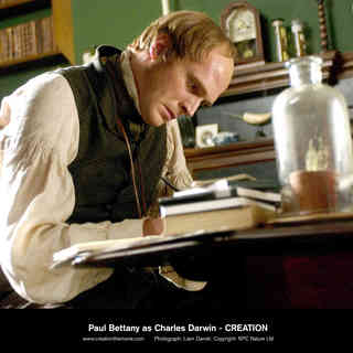Creation Picture 5