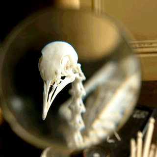 Creation Picture 7