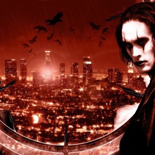 Crow, The Picture 5