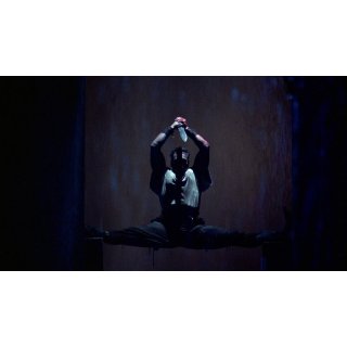 Cyborg (1970)