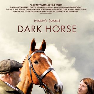 Poster of Sony Pictures Classics' Dark Horse (2016)