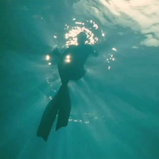 Dark Tide Picture 7