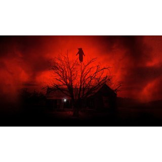 Dark And The Wicked, The Picture 1