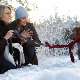 Darling Companion Picture 11