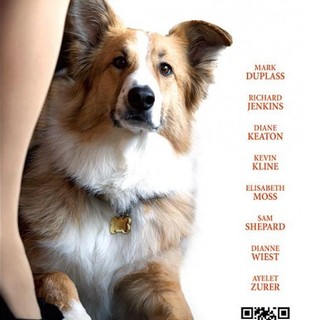 Darling Companion Picture 15