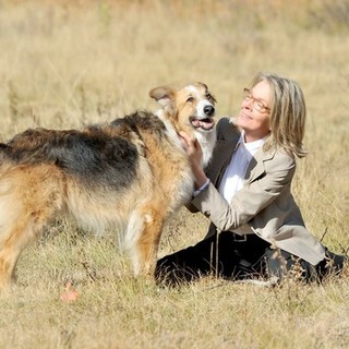 Darling Companion Picture 2