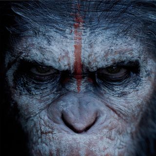 Dawn Of The Planet Of The Apes Picture 2