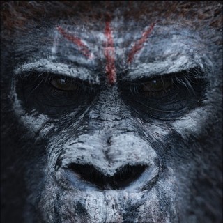 Dawn Of The Planet Of The Apes Picture 3
