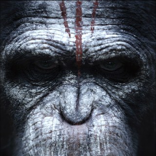 Dawn Of The Planet Of The Apes Picture 5