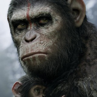 Dawn of the Planet of the Apes Picture 6