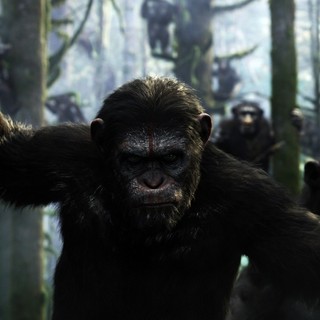 Dawn Of The Planet Of The Apes Picture 1
