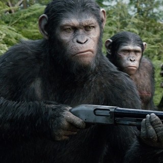 Dawn of the Planet of the Apes Picture 8