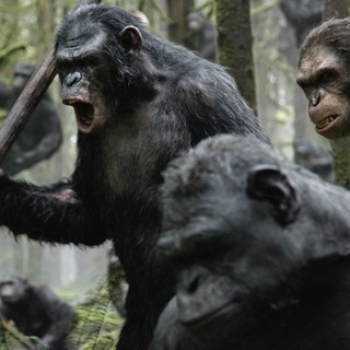 Dawn of the Planet of the Apes Picture 10