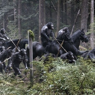 A scene from from 20th Century Fox' Dawn of the Planet of the Apes (2014)