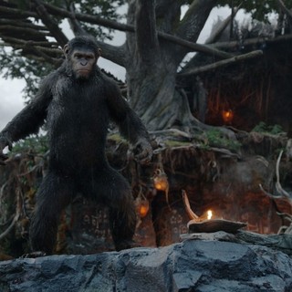 Dawn of the Planet of the Apes Picture 14