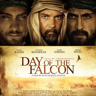 Poster of Image Entertainment's Day of the Falcon (2013)