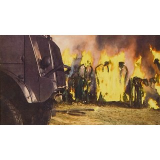 Day of the Triffids, The (1970)