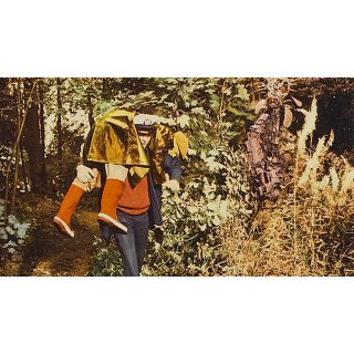 Day of the Triffids, The (1970)