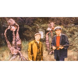 Day of the Triffids, The (1970)