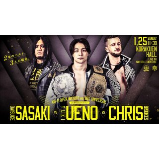 DDT Mission In Battle ~new Year Splendor~ Picture 2