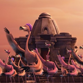 Delhi Safari Picture 42