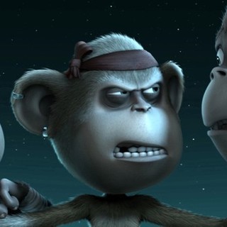 delhi safari hd wallpapers delhi safari hd wallpapers