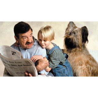 Dennis The Menace Picture 2