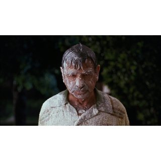 Dennis The Menace Picture 5