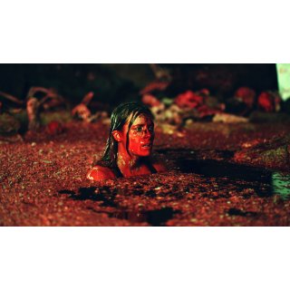 Descent, The Picture 8