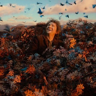 The Hobbit: The Desolation of Smaug Picture 13