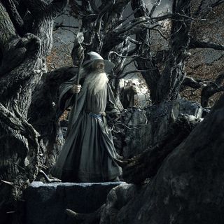 Hobbit: The Desolation Of Smaug, The Picture 44
