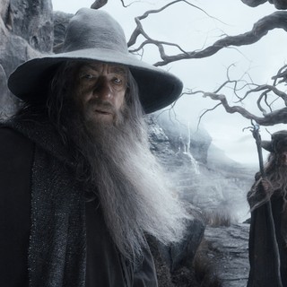 Hobbit: The Desolation Of Smaug, The Picture 45