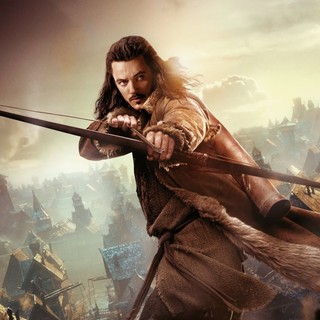 Hobbit: The Desolation Of Smaug, The Picture 32