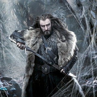 Hobbit: The Desolation Of Smaug, The Picture 33