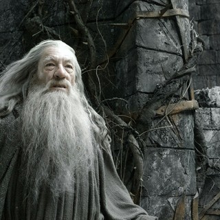 Hobbit: The Desolation Of Smaug, The Picture 46