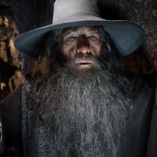Hobbit: The Desolation Of Smaug, The Picture 47