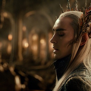 Hobbit: The Desolation Of Smaug, The Picture 49
