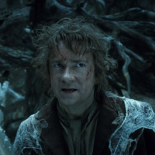 Hobbit: The Desolation Of Smaug, The Picture 54