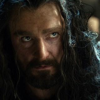 Richard Armitage stars as Thorin Oakenshield in Warner Bros. Pictures' The Hobbit: The Desolation of Smaug (2013)