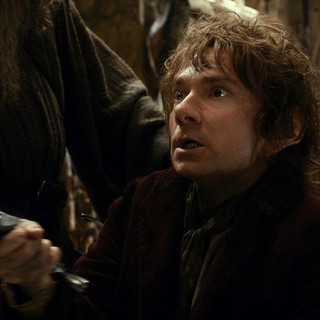 Hobbit: The Desolation Of Smaug, The Picture 7