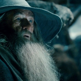 Hobbit: The Desolation Of Smaug, The Picture 9