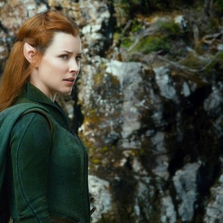 Hobbit: The Desolation Of Smaug, The Picture 10