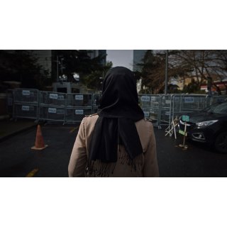 Dissident, The Picture 8