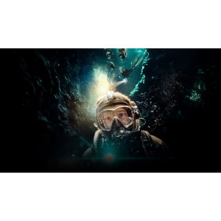 Dive, The Picture 4