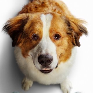Poster of Universal Pictures' A Dog's Journey (2019)