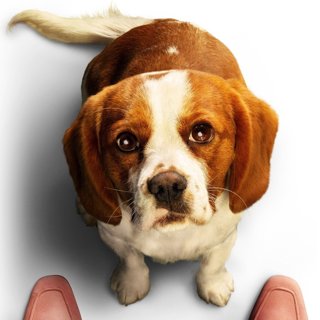 Poster of Universal Pictures' A Dog's Journey (2019)