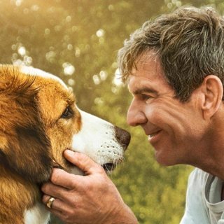 Poster of Universal Pictures' A Dog's Journey (2019)