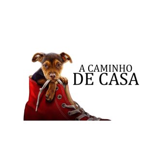 Dog's Way Home, A Picture 8